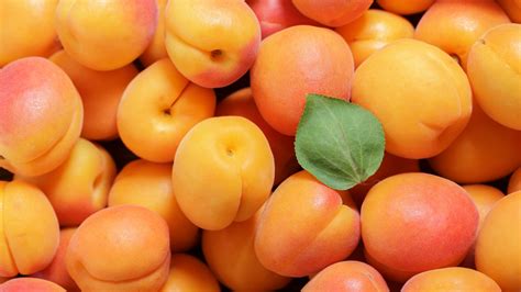 Apricots 